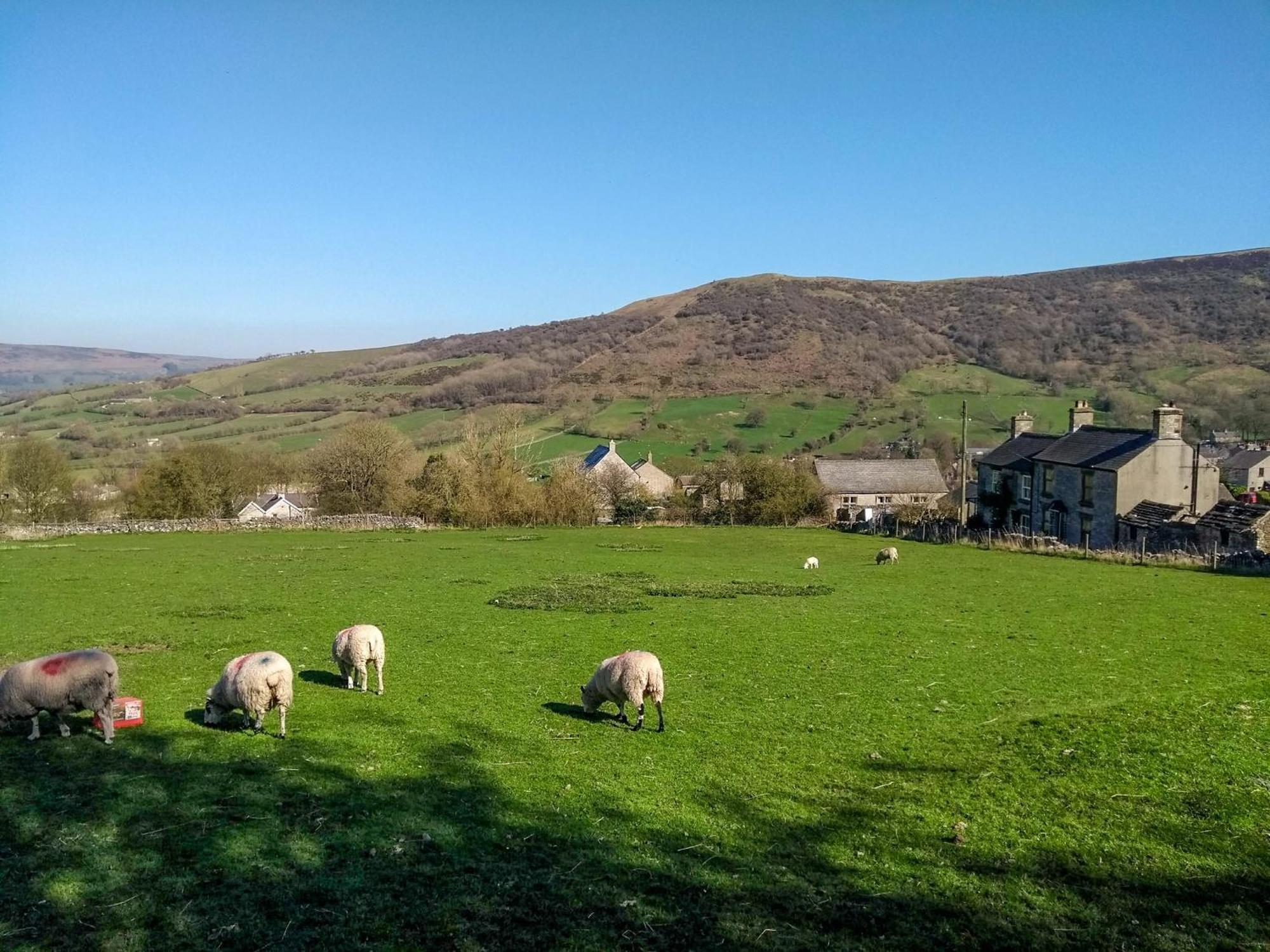 Fern Cottage Bradwell  المظهر الخارجي الصورة